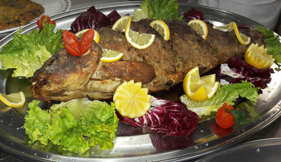 Carpa Regina In Porchetta H_Hq
