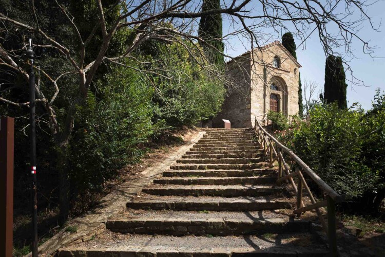 Isola 7
